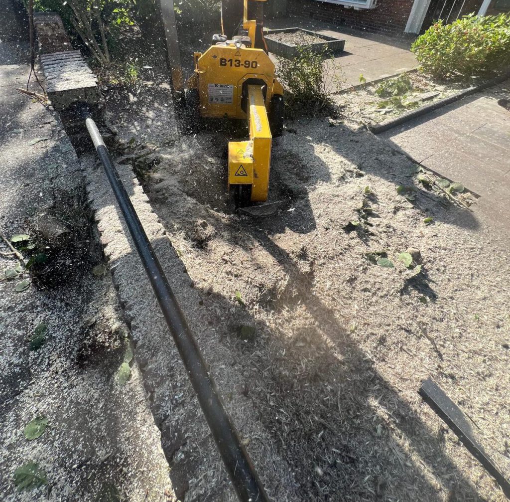 Boomverzorger freest een stobbe weg met een stobbenfrees in een voortuin